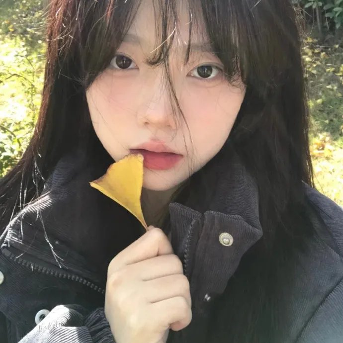 旅人 海报